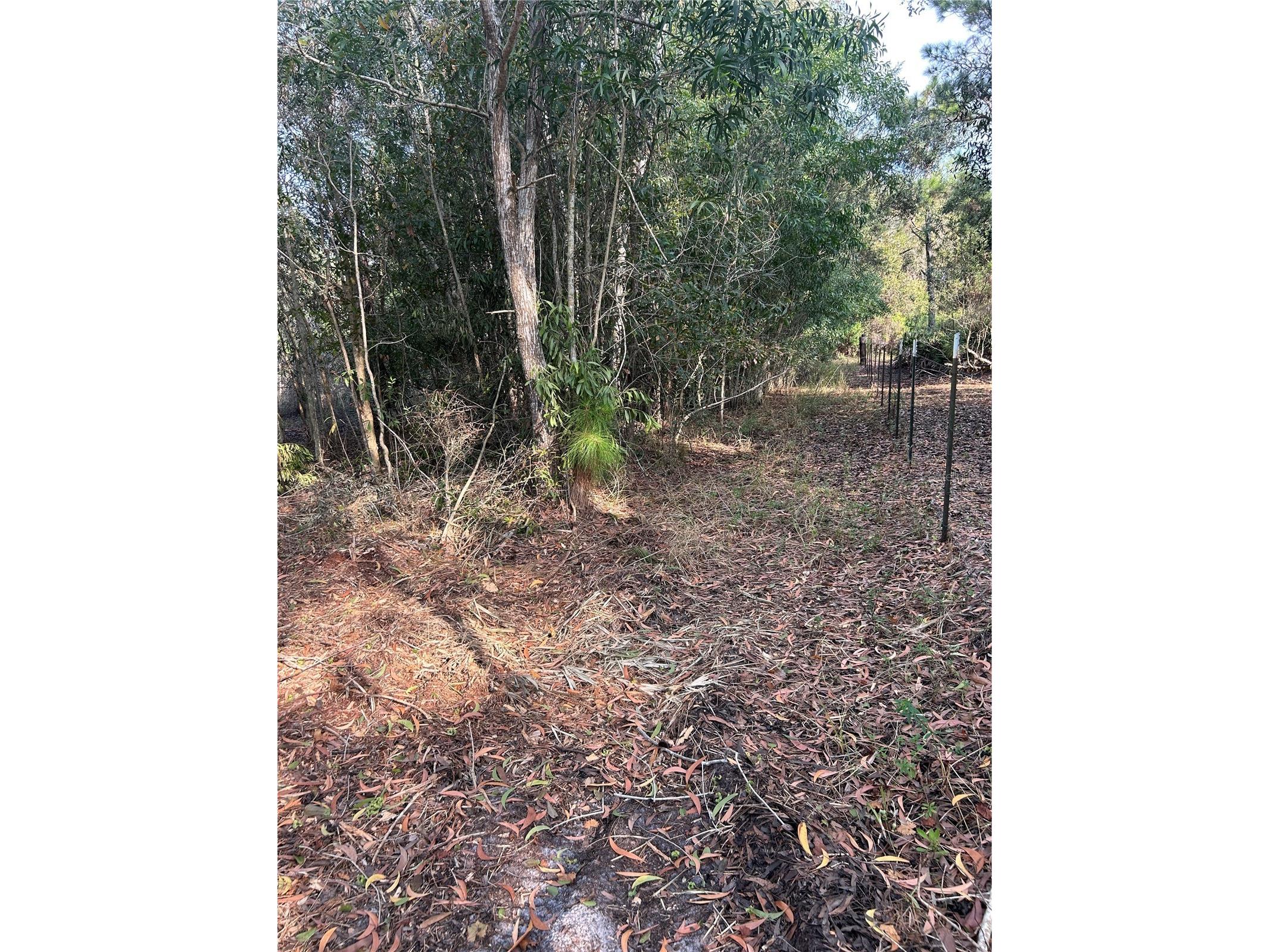 Pantera Ln Naples FL 34120 OM718343 image35