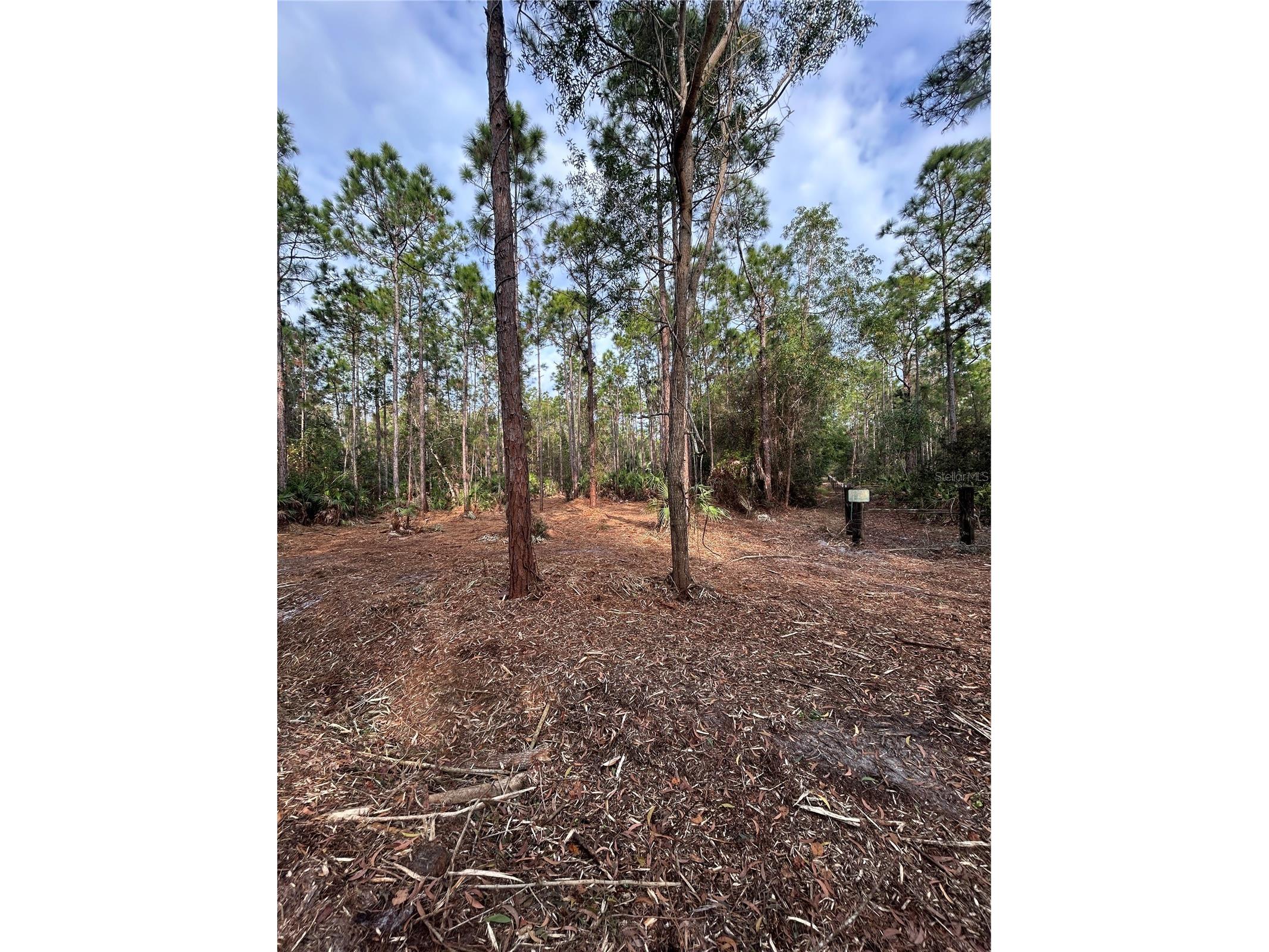 Pantera Ln Naples FL 34120 OM718343 image38