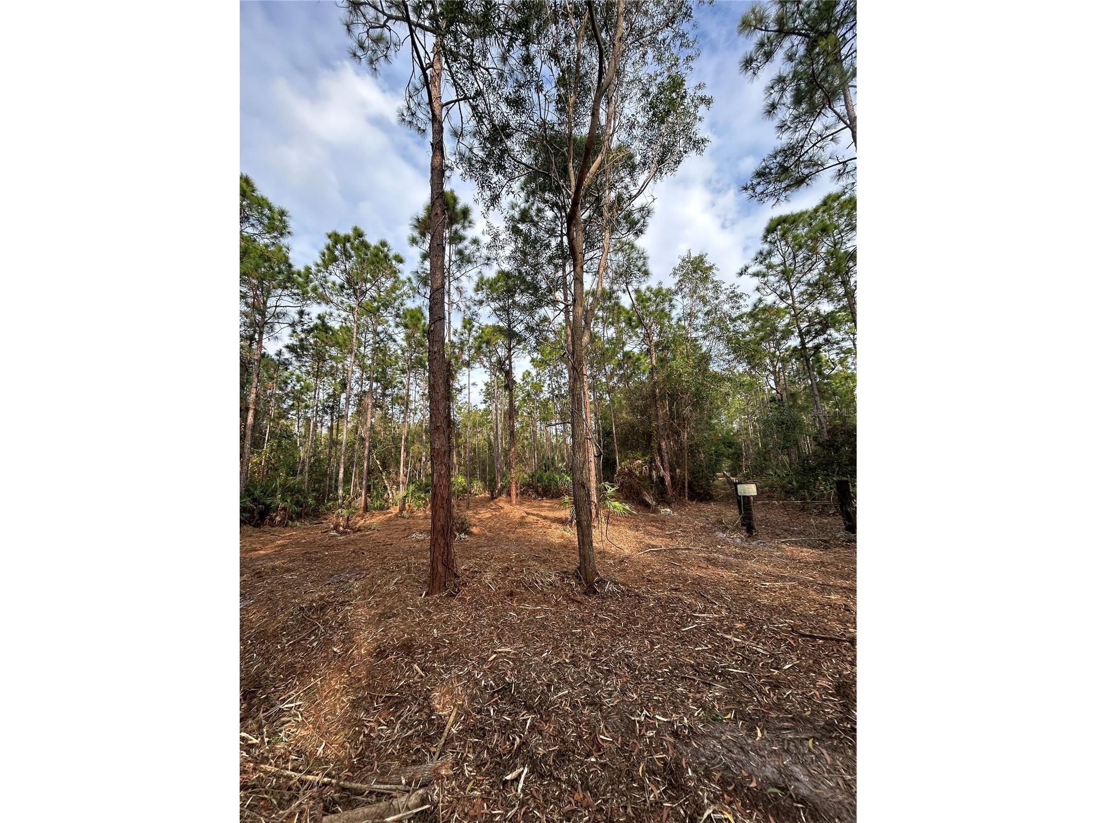 Pantera Ln Naples FL 34120 OM718343 image39