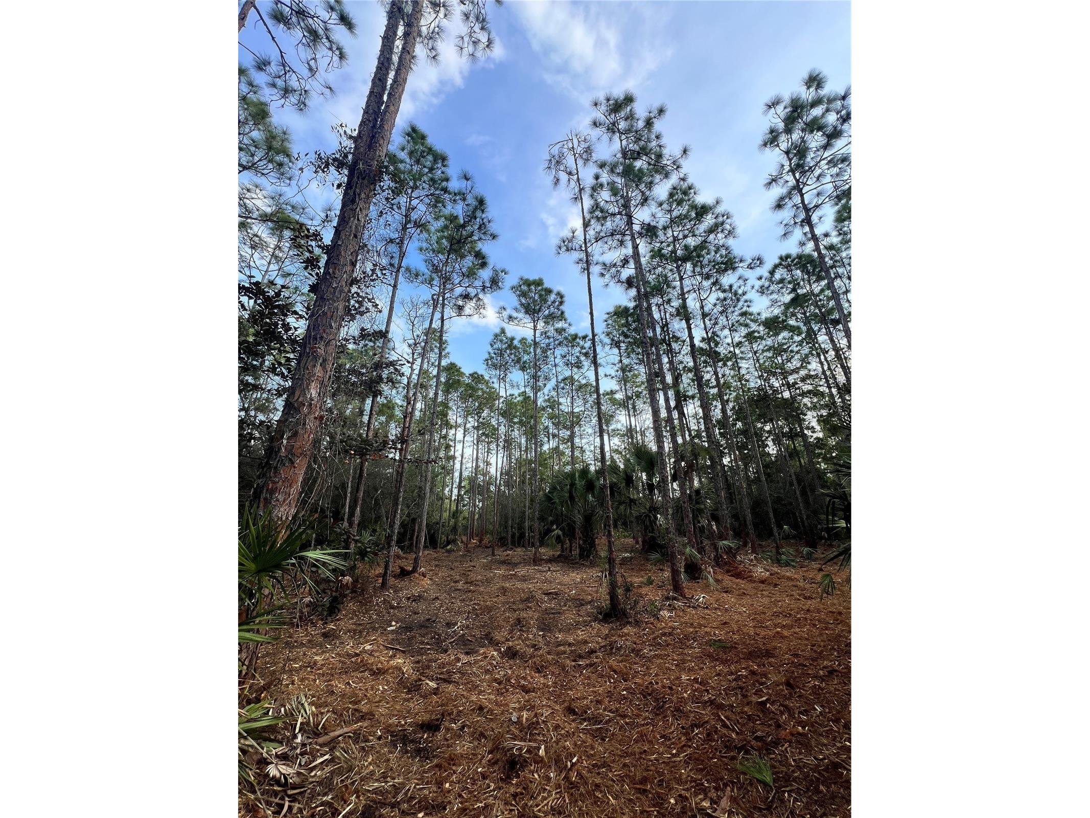 Pantera Ln Naples FL 34120 OM718343 image42