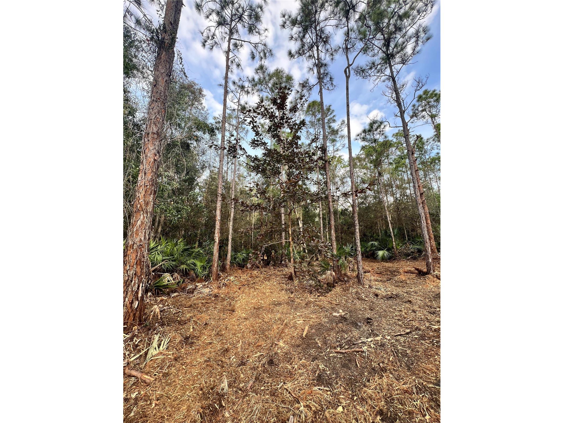 Pantera Ln Naples FL 34120 OM718343 image44