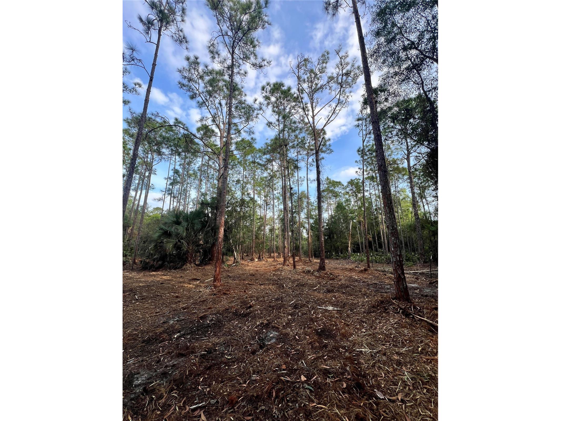 Pantera Ln Naples FL 34120 OM718343 image45