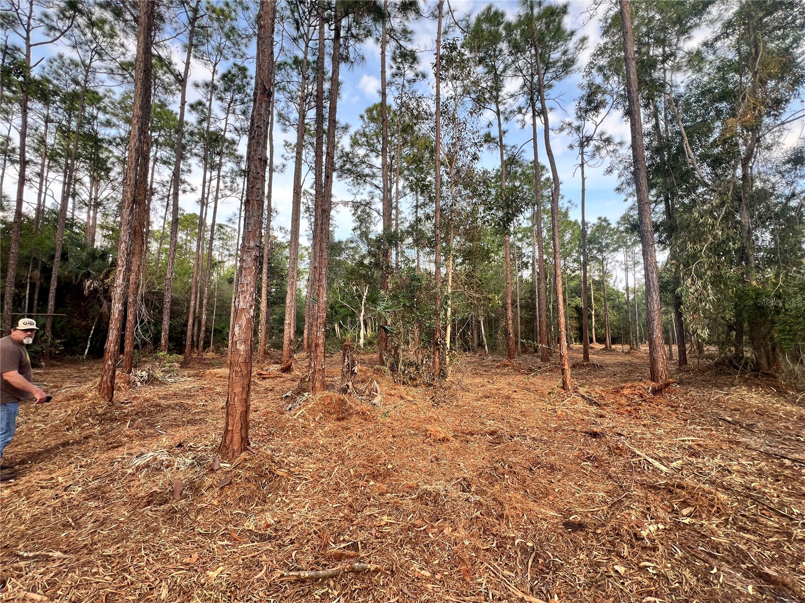 Pantera Ln Naples FL 34120 OM718343 image47