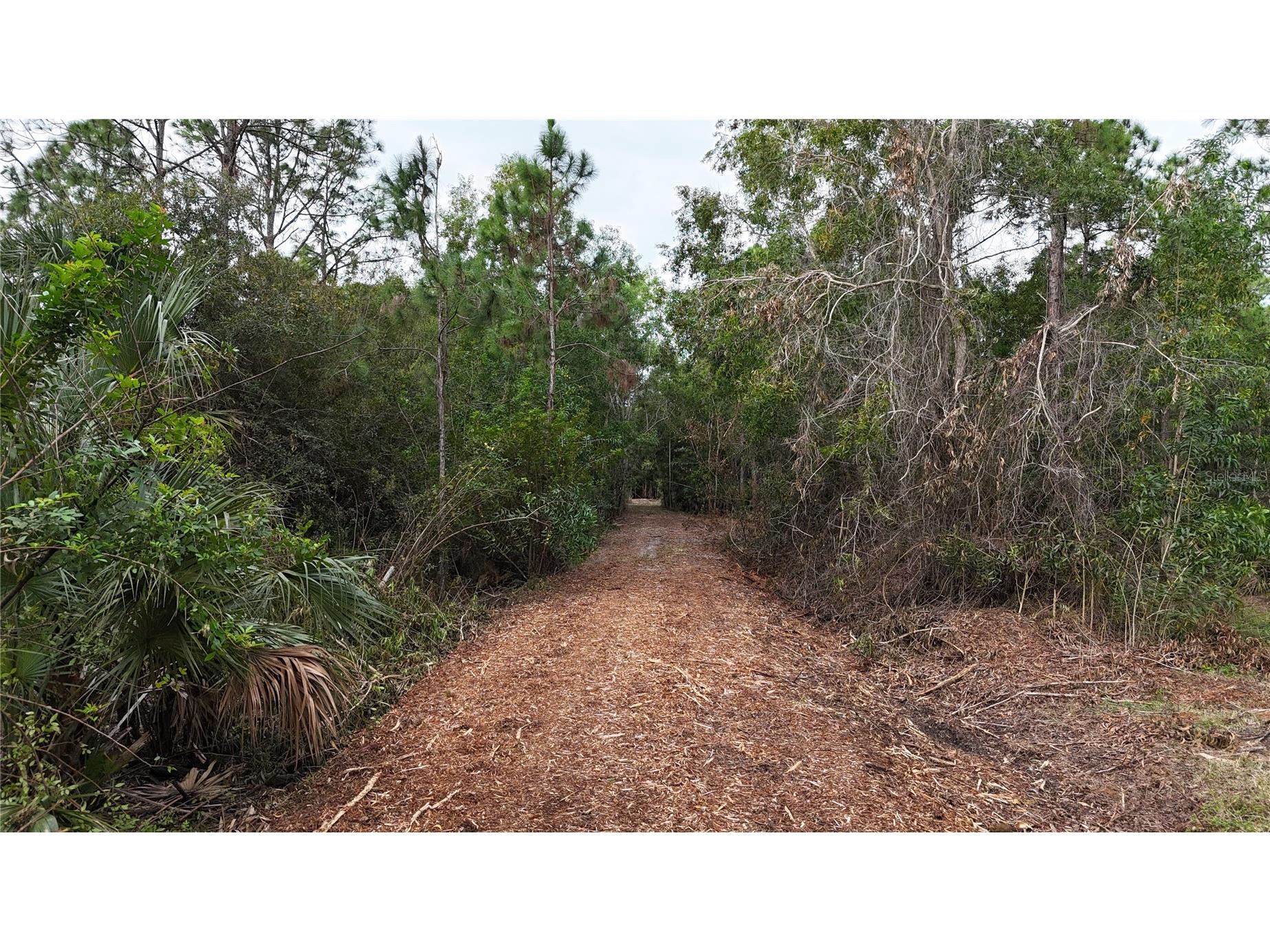 Pantera Ln Naples FL 34120 OM718343 image6