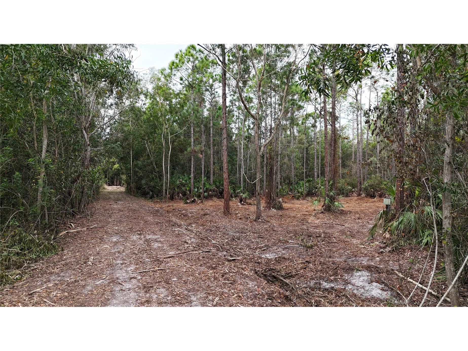 Pantera Ln Naples FL 34120 OM718343 image7