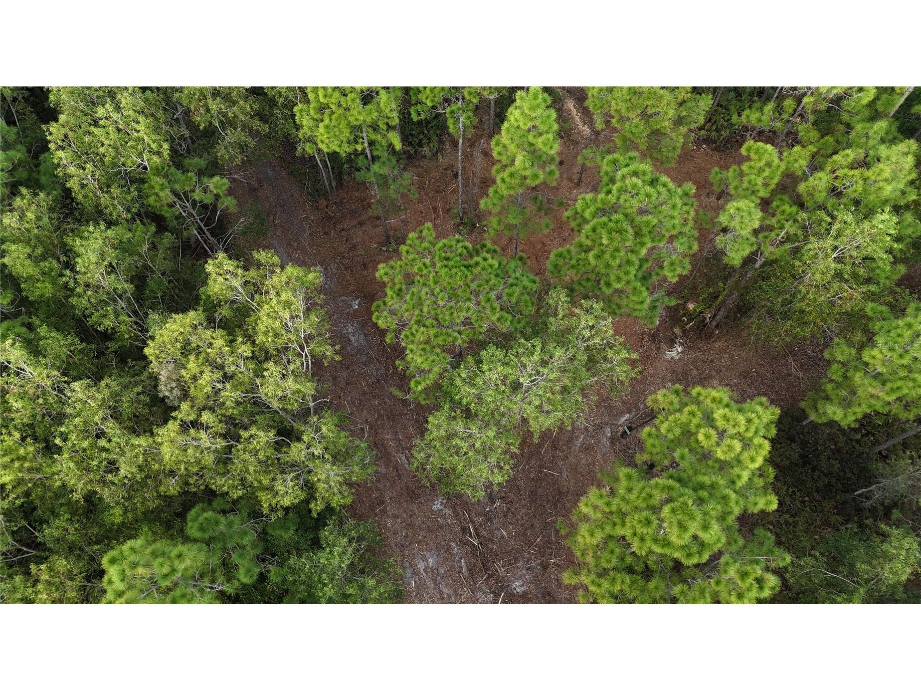 Pantera Ln Naples FL 34120 OM718343 image9