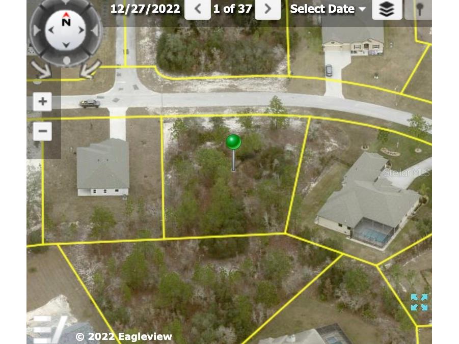 Pantera Weeki Wachee FL 34613 T3478383 image1