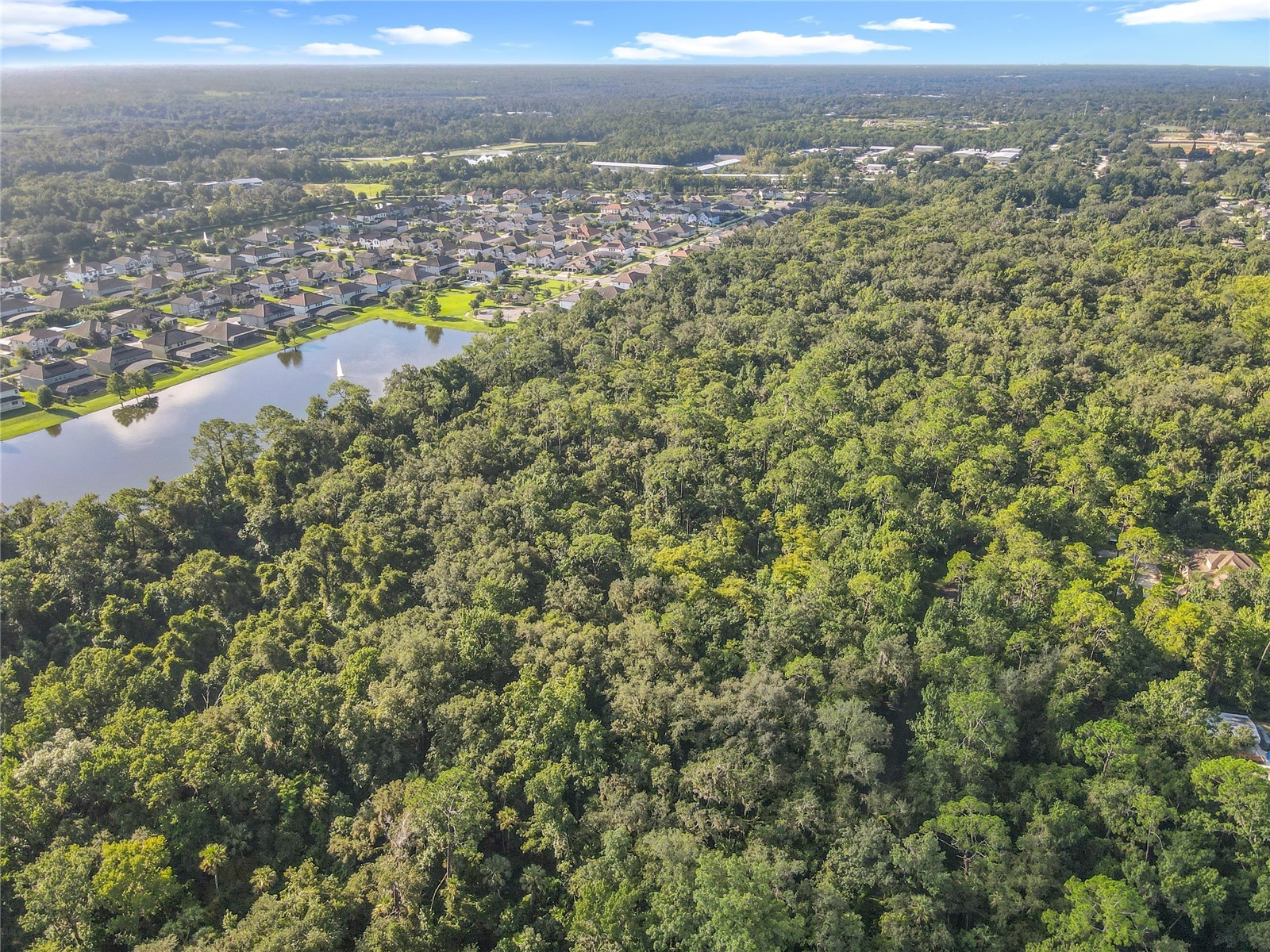 Panther Road Oviedo FL 32765 O6334321 image10