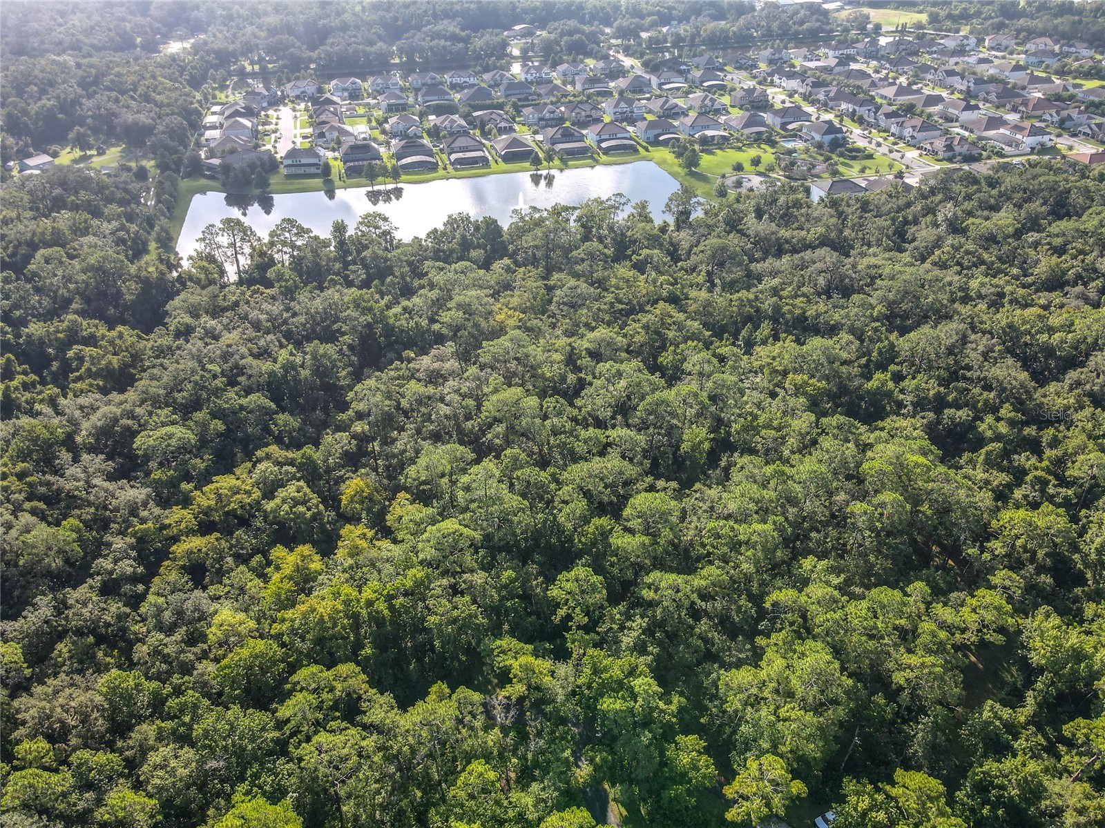 Panther Road Oviedo FL 32765 O6334321 image12