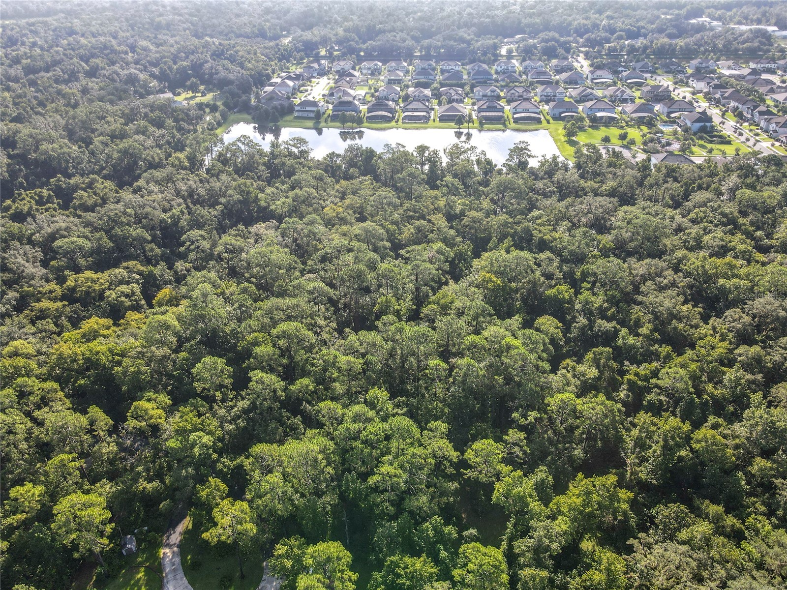 Panther Road Oviedo FL 32765 O6334321 image13