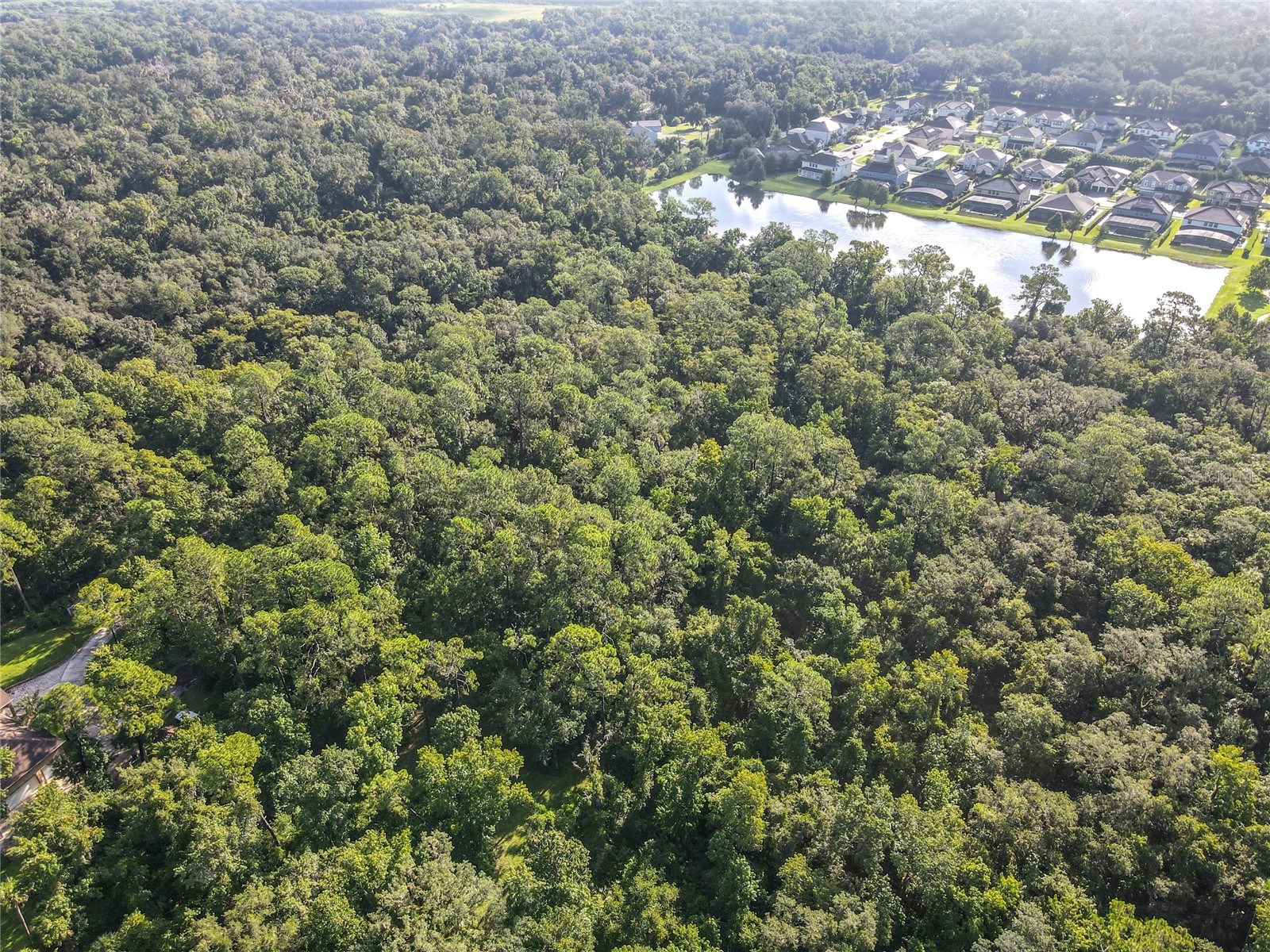 Panther Road Oviedo FL 32765 O6334321 image14