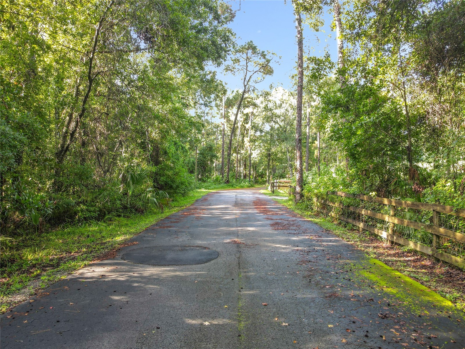 Panther Road Oviedo FL 32765 O6334321 image15