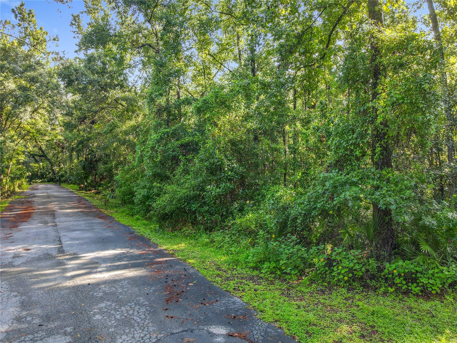 Panther Road Oviedo FL 32765 O6334321 image16