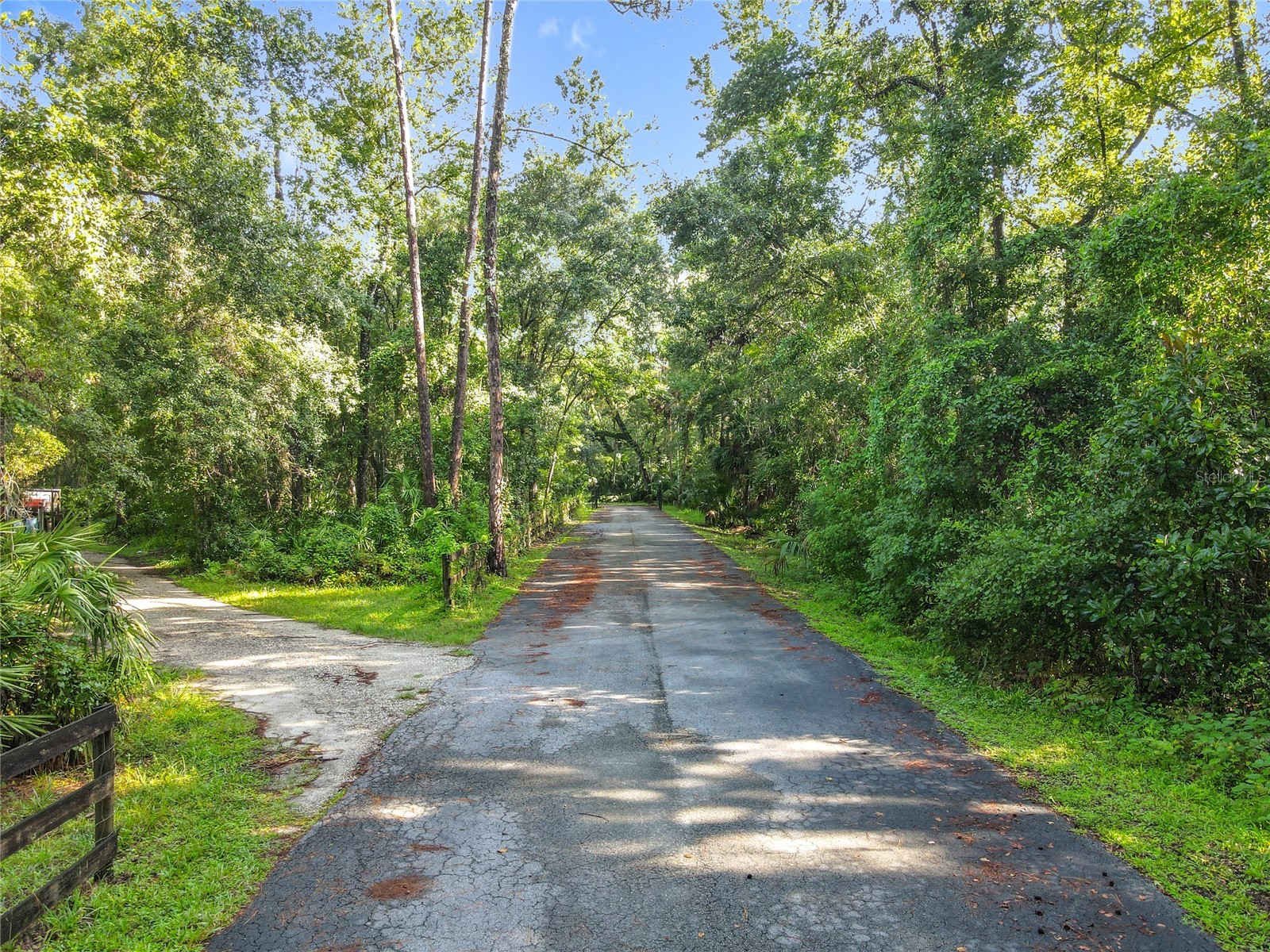 Panther Road Oviedo FL 32765 O6334321 image17
