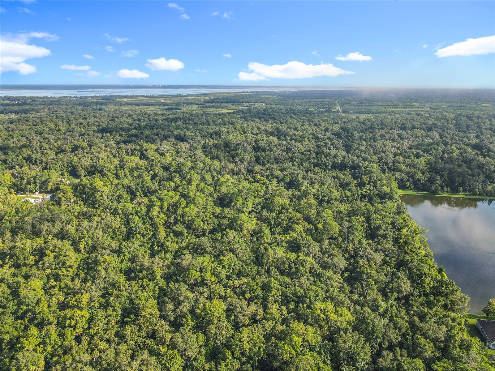 Panther Road Oviedo FL 32765 O6334321 image18