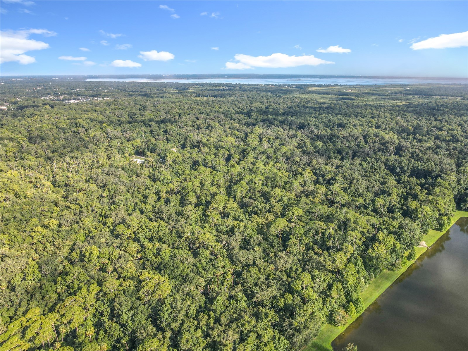 Panther Road Oviedo FL 32765 O6334321 image19