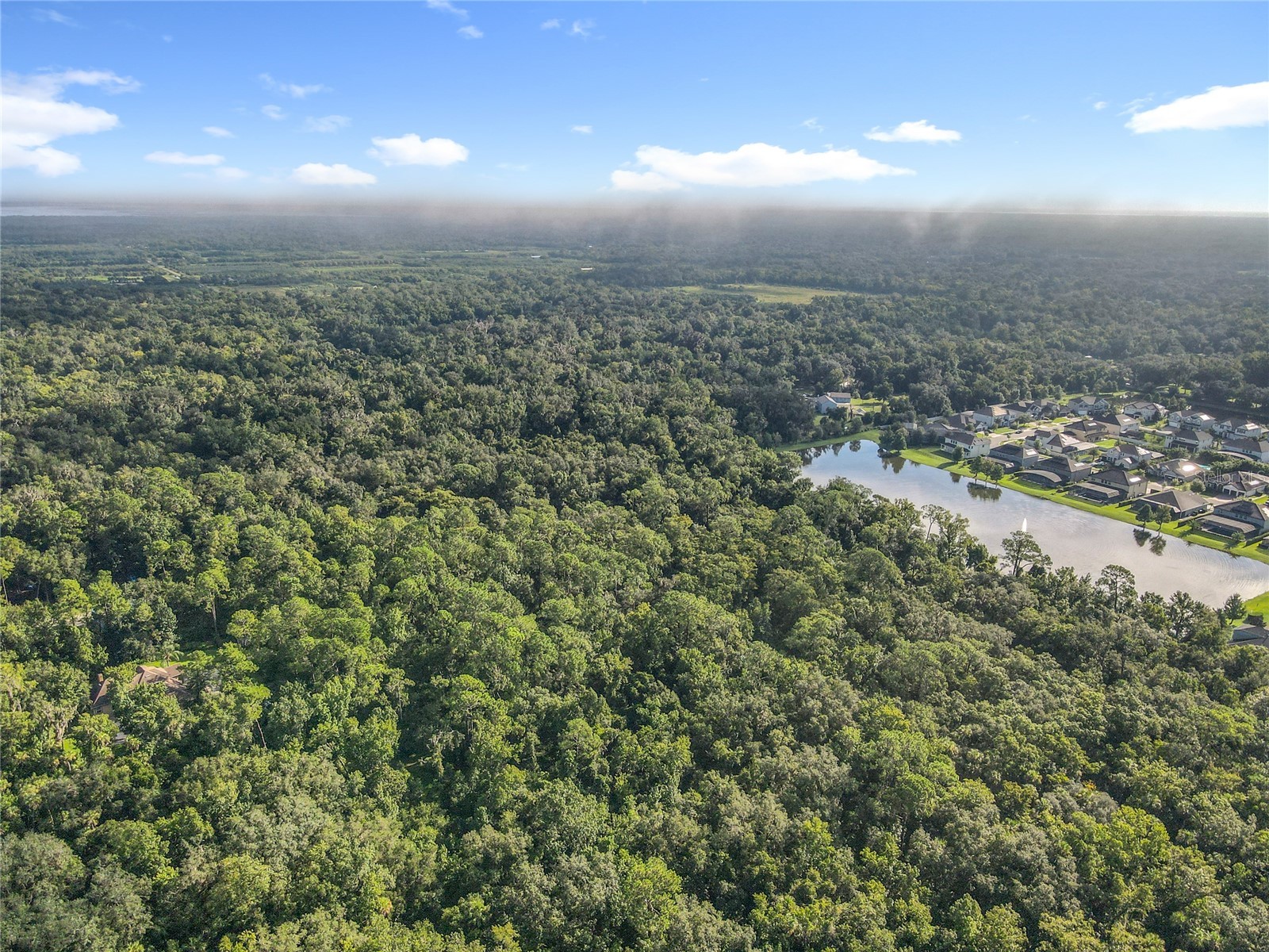 Panther Road Oviedo FL 32765 O6334321 image7