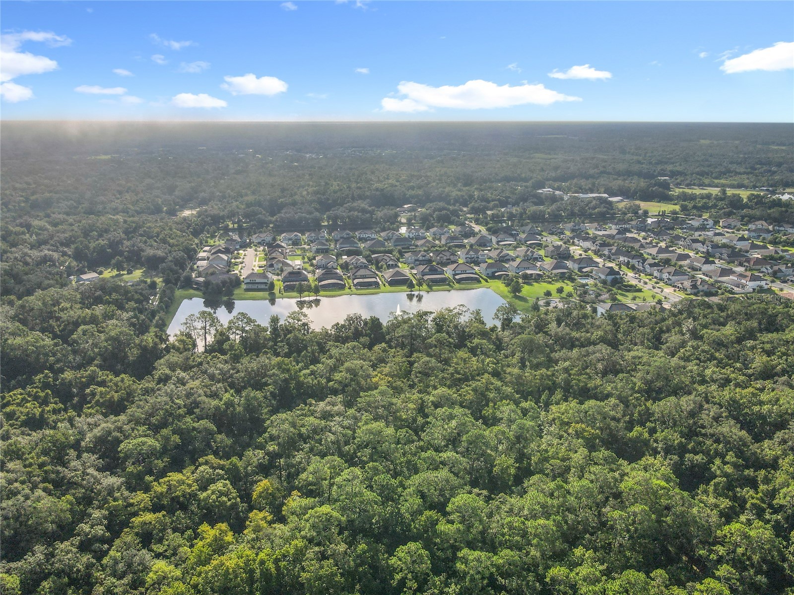 Panther Road Oviedo FL 32765 O6334321 image9
