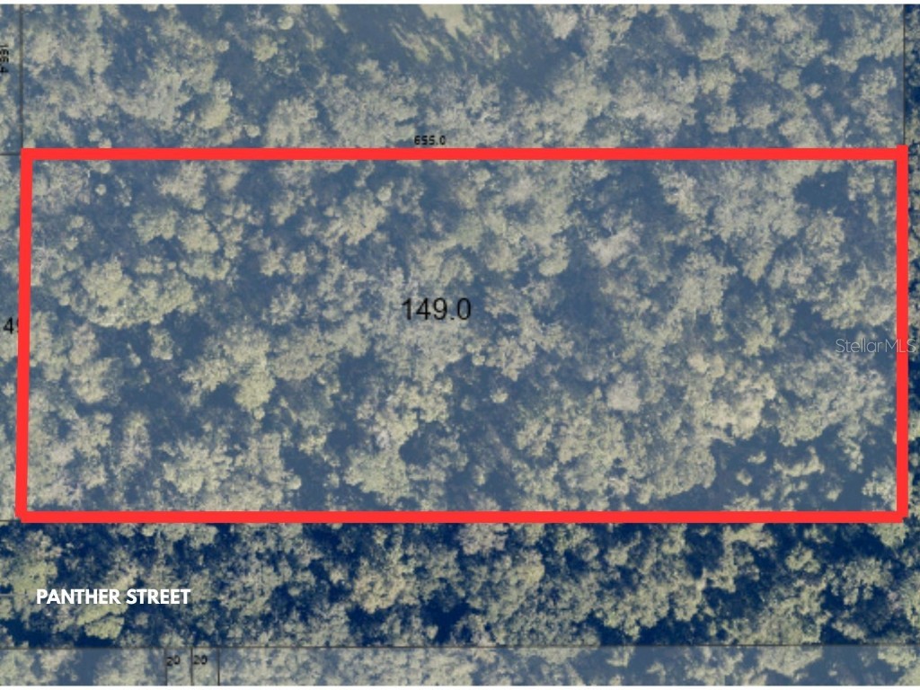 Panther Street Oviedo FL 32765 O6351478 image1