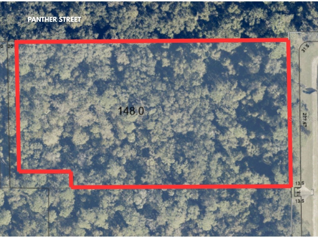 Panther Street Oviedo FL 32765 O6351517 image1