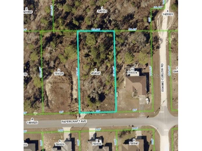 Papercraft Avenue Weeki Wachee FL 34614 U8122062 image1