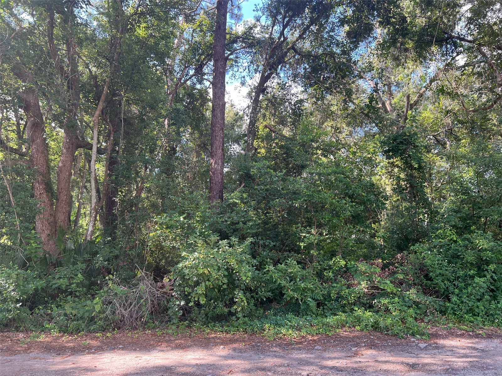 Par Avenue Sorrento FL 32776 O6336840 image3