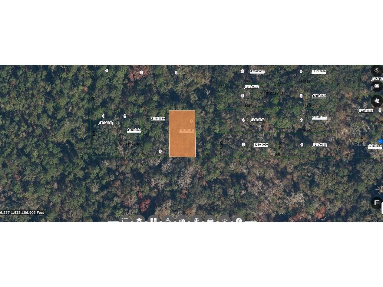 Paradise Lakes Avenue Georgetown FL 32139 O6231634 image1