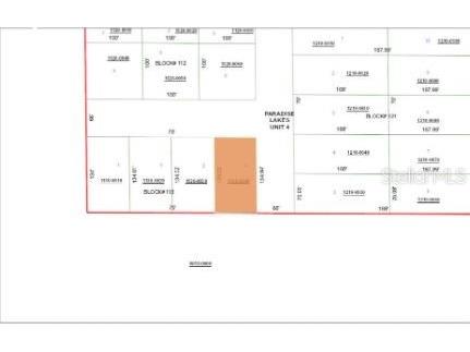 Paradise Lakes Avenue Georgetown FL 32139 O6231634 image2