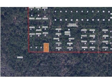 Paradise Lakes Avenue Georgetown FL 32139 O6231634 image3