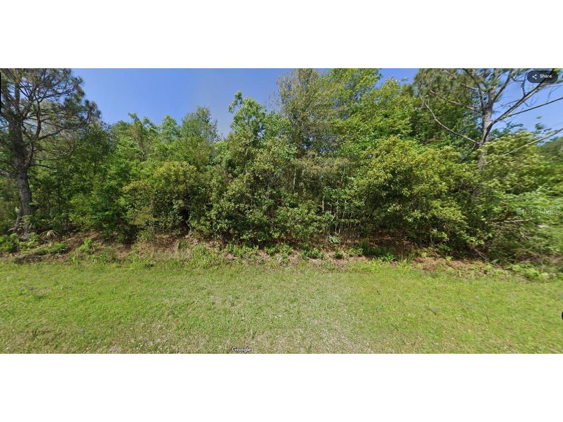 Paradise Lakes Avenue Georgetown FL 32139 O6231634 image4