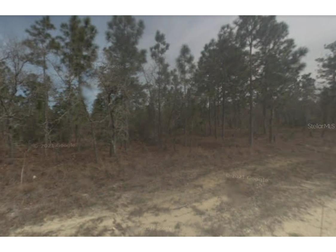 Parallel Road Weeki Wachee FL 34614 W7849005 image1