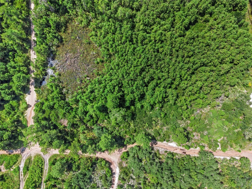 Parcel 230 E Holly Hock Road Deland FL 32724 O6262037 image15