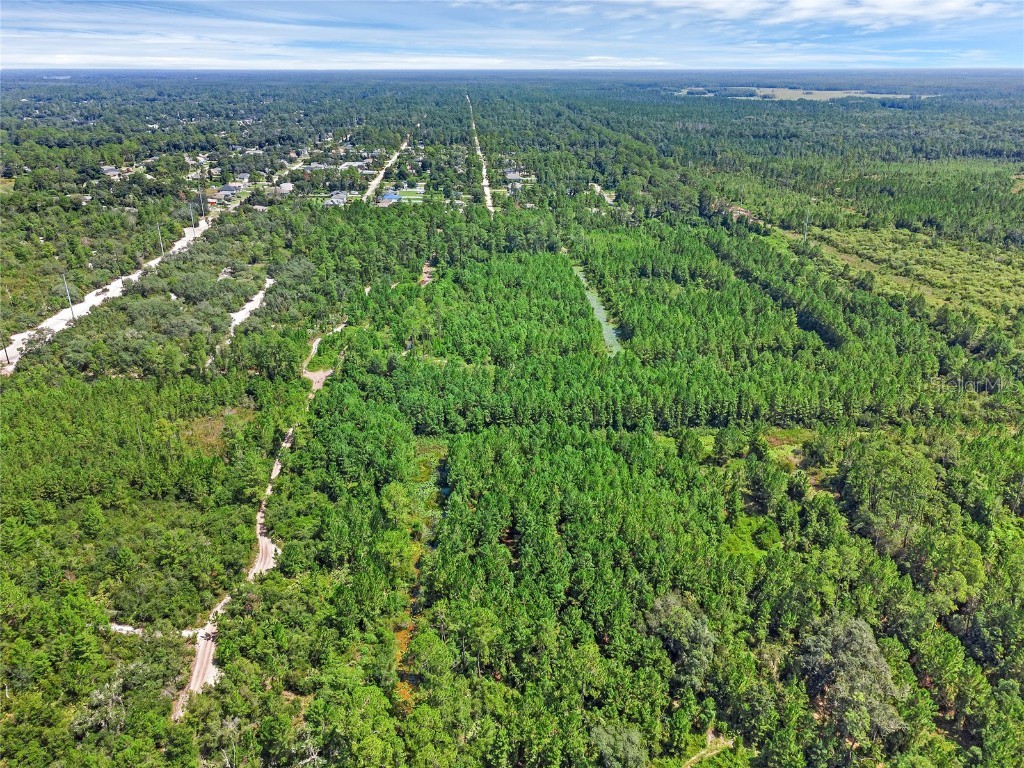 Parcel 230 E Holly Hock Road Deland FL 32724 O6262037 image4