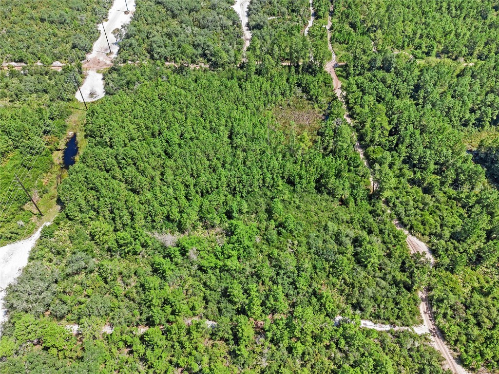 Parcel 230 E Holly Hock Road Deland FL 32724 O6262037 image5