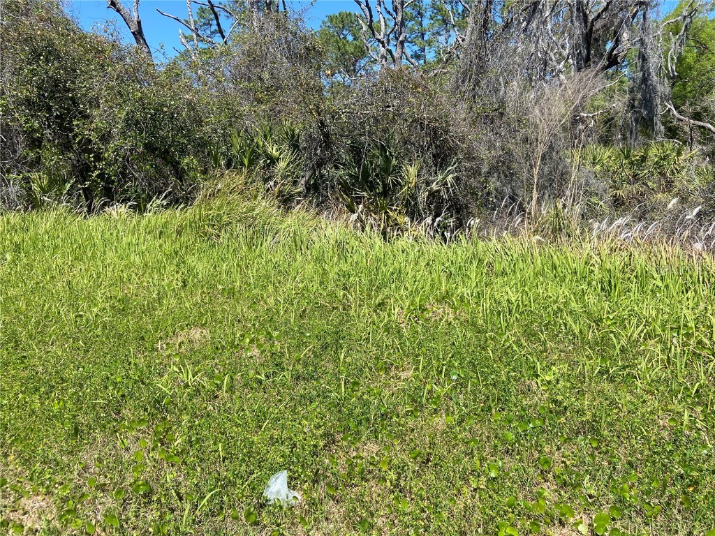 Parcel 27 15 30 00 00 0200 De Leon Springs FL 32130 V4941597 image3