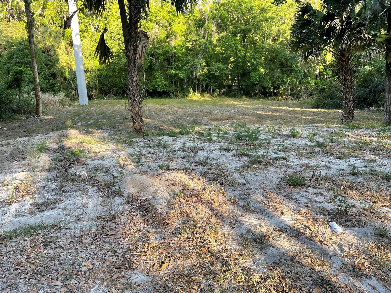 Park Avenue De Leon Springs FL 32130 V4946802 image1