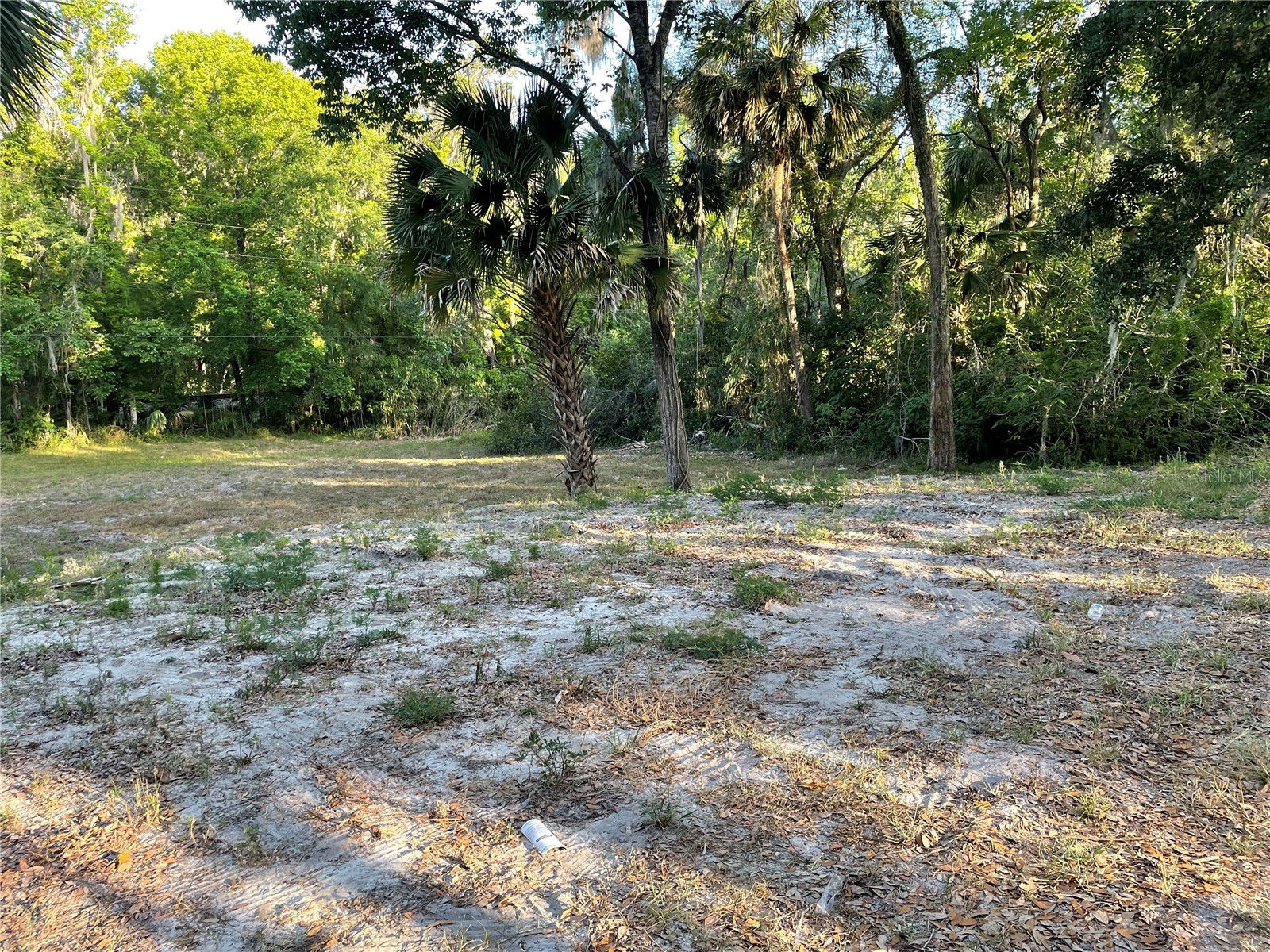 Park Avenue De Leon Springs FL 32130 V4946802 image2