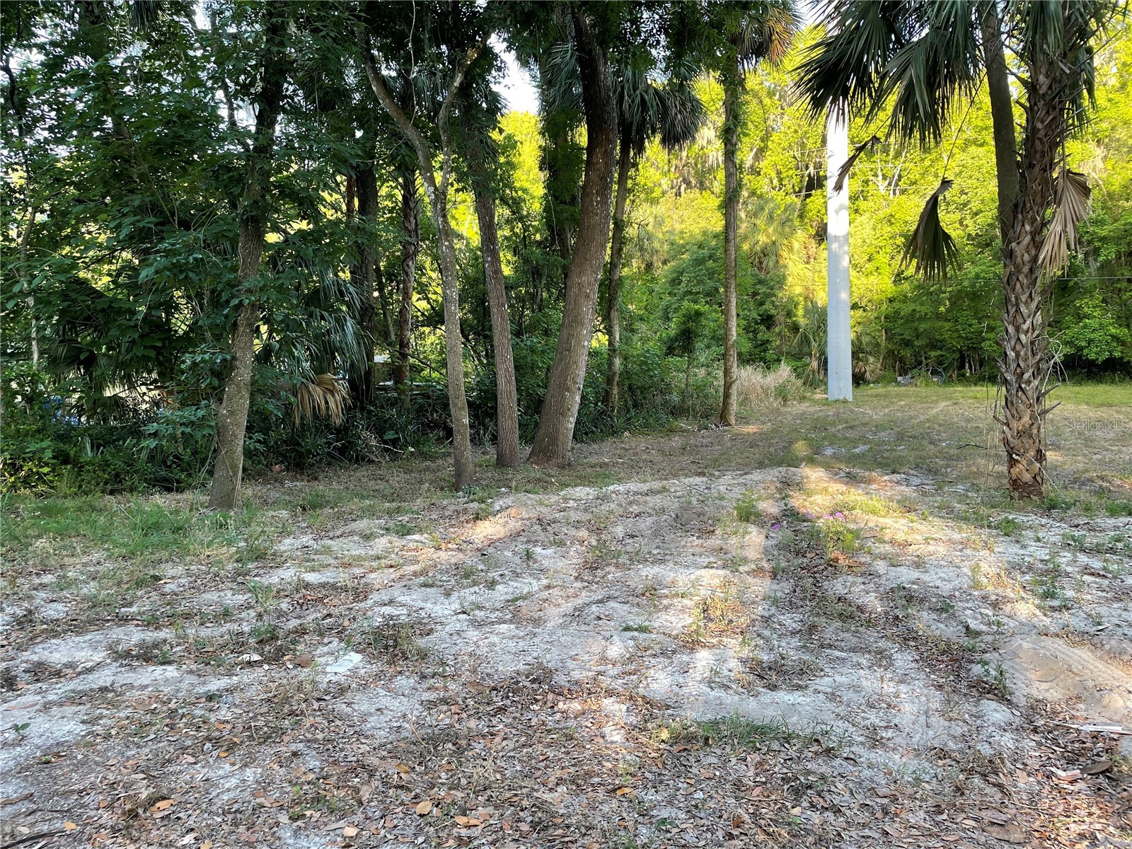 Park Avenue De Leon Springs FL 32130 V4946802 image3