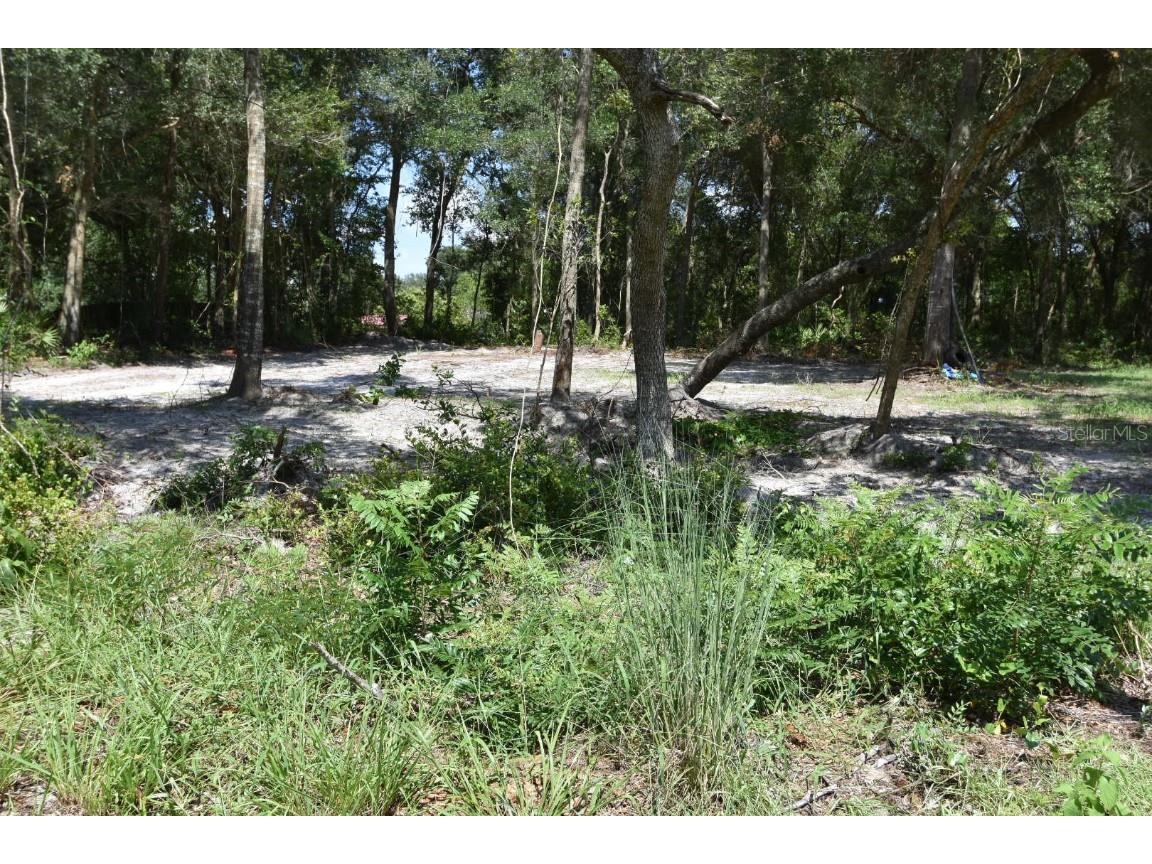 Park Avenue Orange City FL 32763 V4931633 image1