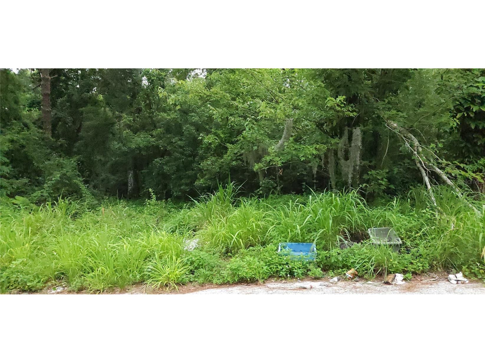 Park Avenue Sanford FL 32771 O6314469 image1