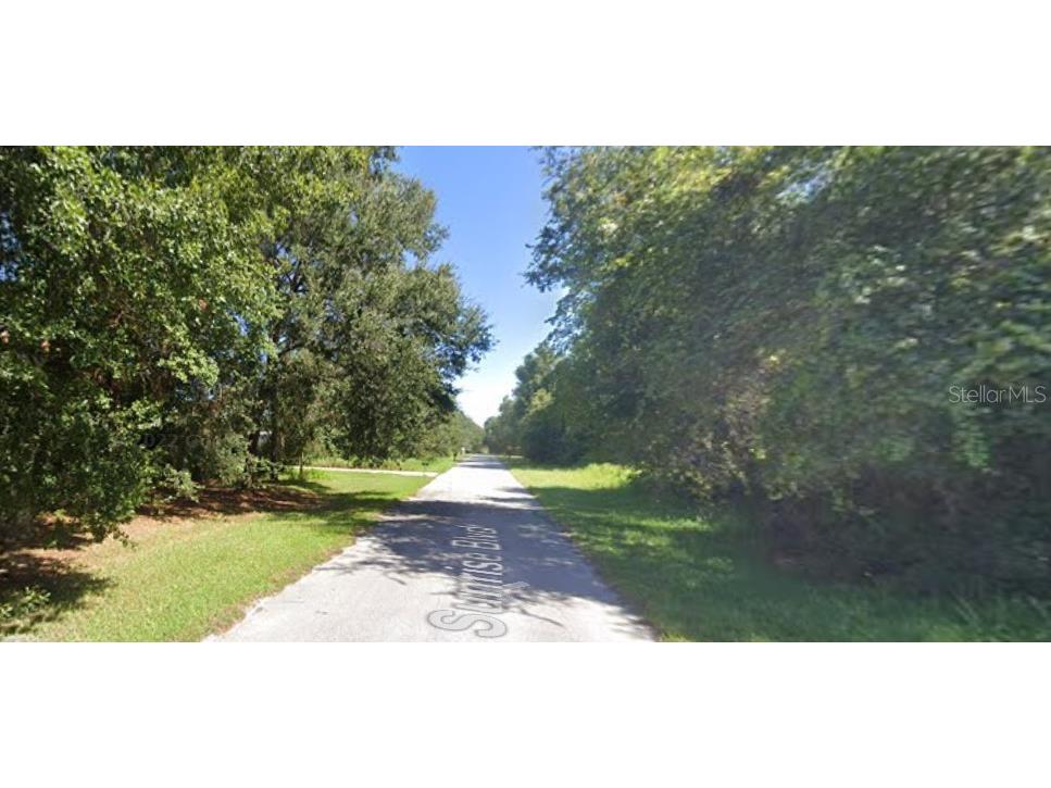 Park Forest Boulevard Mount Dora FL 32757 R4907767 image4