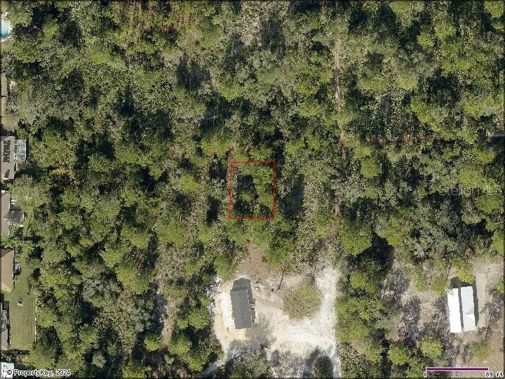 Park Forest Boulevard Mount Dora FL 32757 V4934974 image1