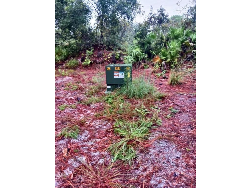 Park Forest Boulevard Mount Dora FL 32757 G5088016 image1