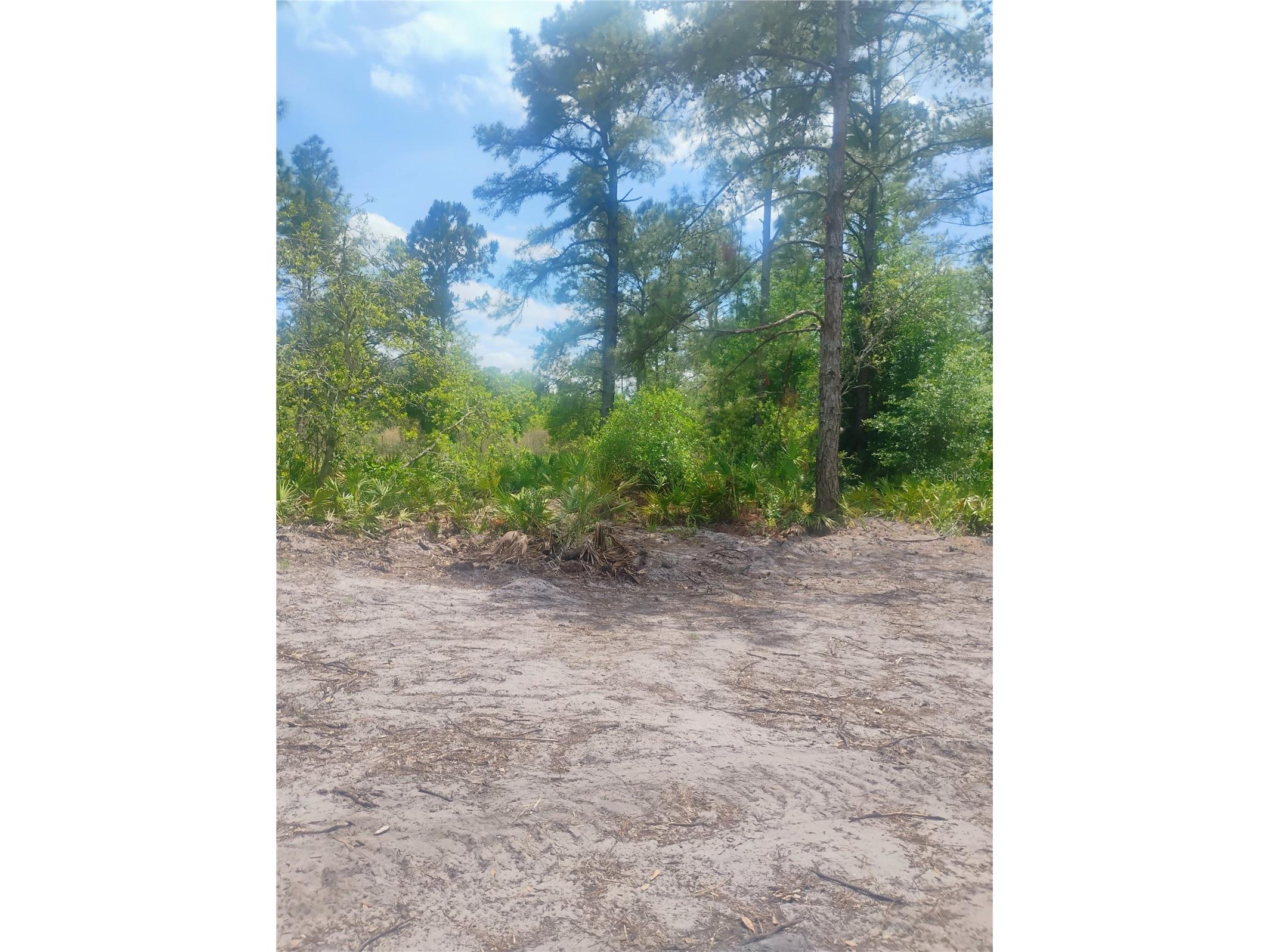 Park Forest Boulevard Mount Dora FL 32757 G5111242 image1