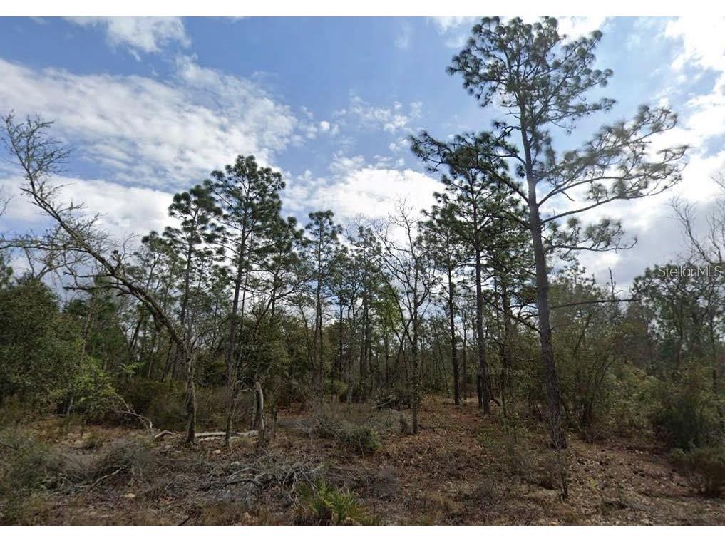 Park Street Interlachen FL 32148 O6396214 image1