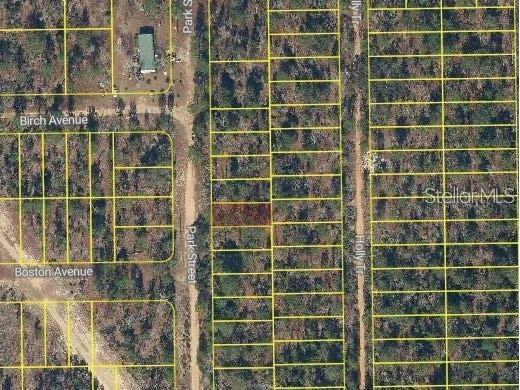 Park Street Interlachen FL 32148 O6396214 image2