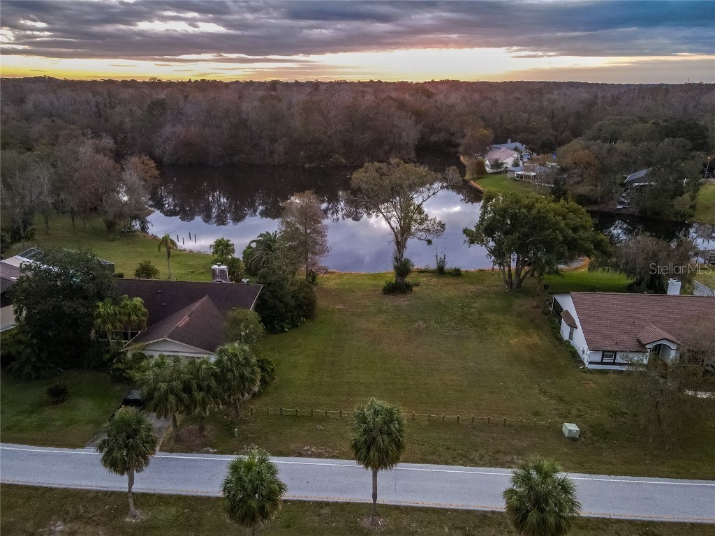 Parkway Boulevard Land O Lakes FL 34639 T3493491 image1
