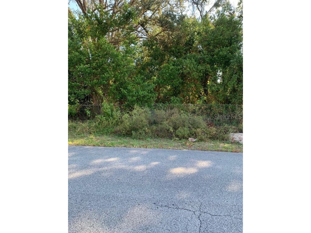 Parnell Spring Hill FL 34608 W7869379 image1