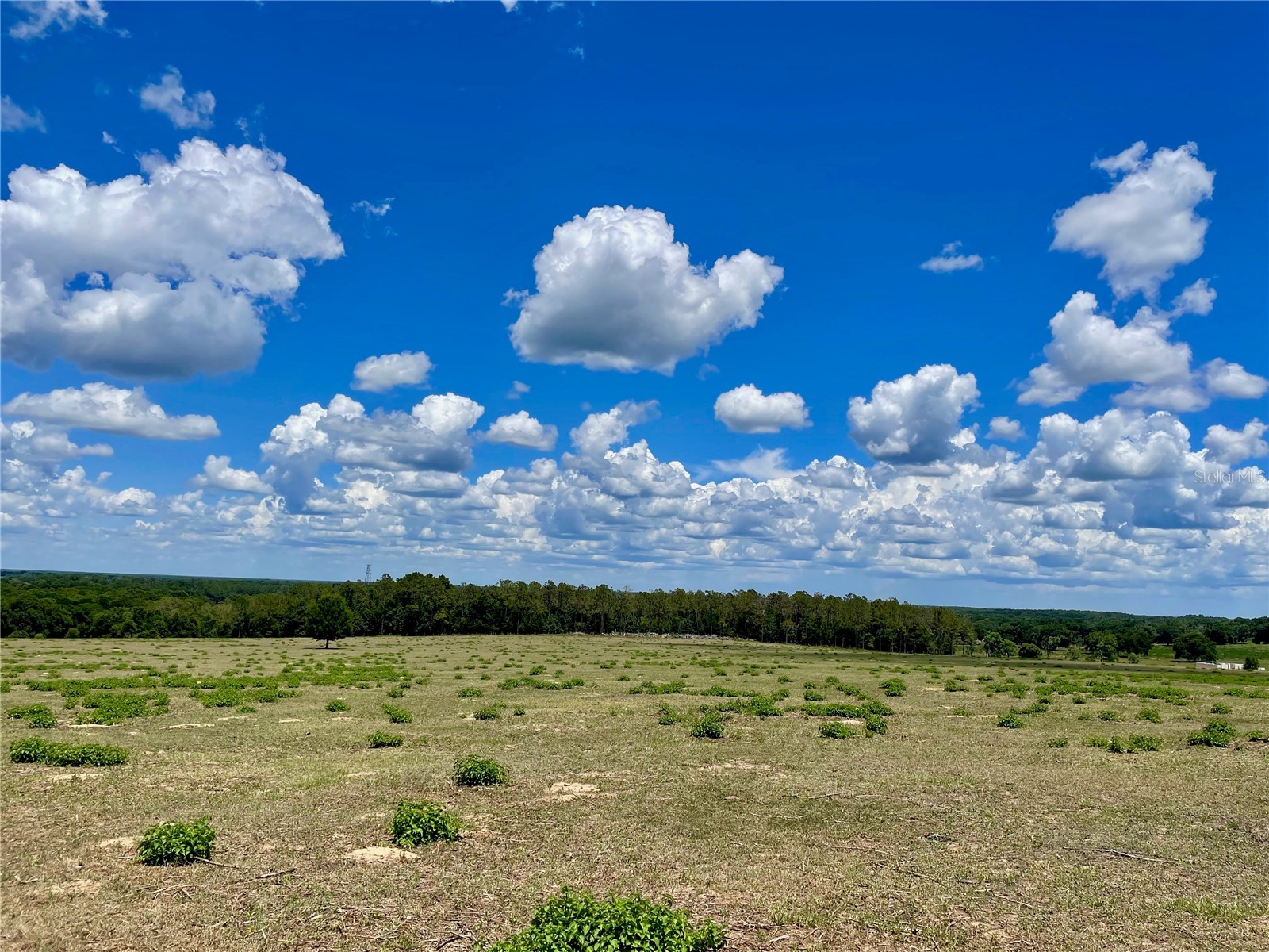 Parrish Grove Road Dade City FL 33523 U8165473 image10