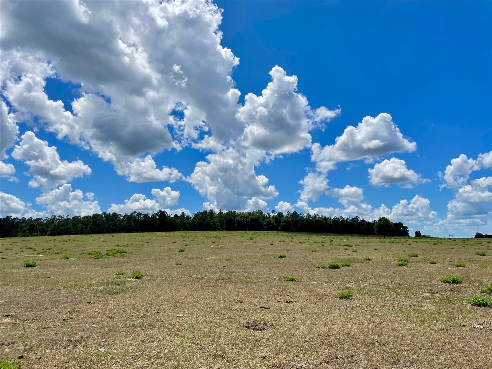 Parrish Grove Road Dade City FL 33523 U8165473 image11